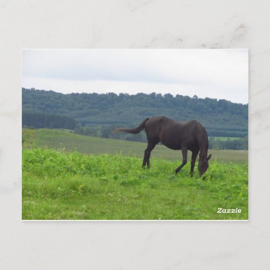 Liefde Briefkaart (Achterkant)