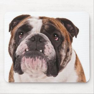 Liefde Bulldogs Puppy Muismat