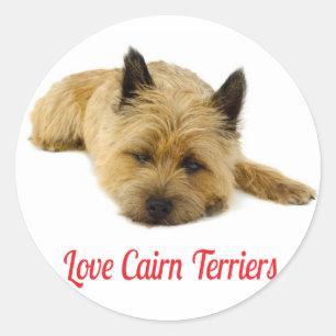 Liefde Cairn Terrier Puppie Hond Begroetingssticke Ronde Sticker
