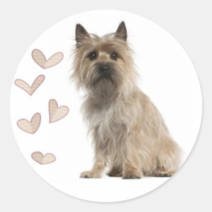 Liefde Cairn Terrier Puppie Hond Begroetingssticke Ronde Sticker