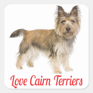 Liefde Cairn Terrier Puppies Hond Greeting Sticker
