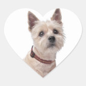 Liefde Cairn Terrier Puppy Hondengroet Stickers (Voorkant)