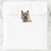 Liefde Cairn Terrier Puppy Hondengroet Stickers (Tas)