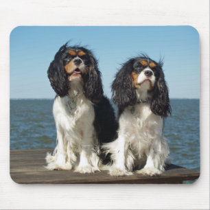Liefde Cavalier King Charles Spaniel Puppy Muismat