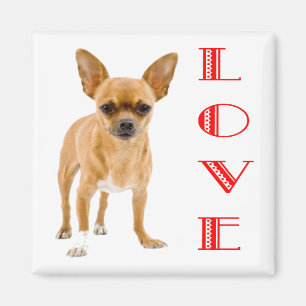 Liefde Chihuahua Puppie Hond Koelkastmagneet Magneet