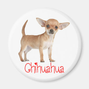 Liefde Chihuahua Puppie Hond Koelkastmagneet Magneet