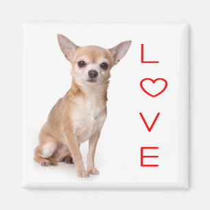 Liefde Chihuahua Puppie Hond Koelkastmagneet Magneet