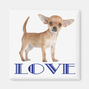 Liefde Chihuahua Puppie Hond Koelkastmagneet Magneet