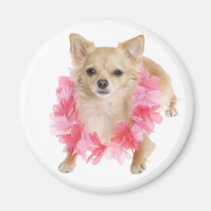 Liefde Chihuahua Puppie Hond Magneet