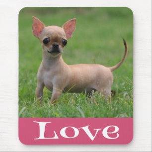 Liefde Chihuahua Puppie Hond Muismat