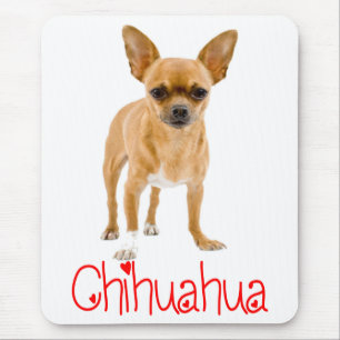 Liefde Chihuahua Puppie Hond Rood Liefde Muismat