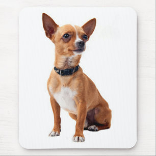 Liefde Chihuahua Puppies Hond Canine Muismat