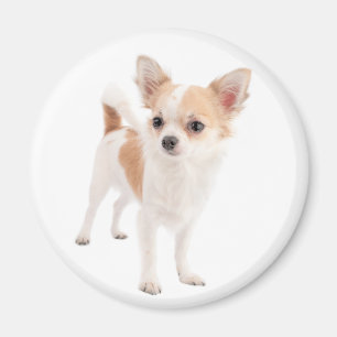 Liefde Chihuahua Puppies Hond Koelkastmagneet Magneet