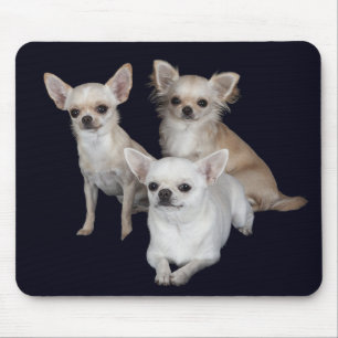 Liefde Chihuahua Puppies Hond Muismat