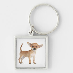 Liefde Chihuahua Puppieshond Sleutelhanger