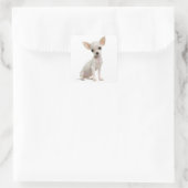 Liefde Chihuahua Puppy Dog Groet Stickers (Tas)