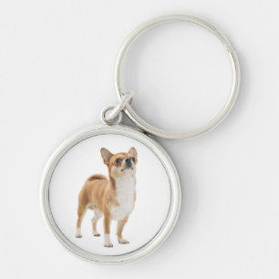 Liefde Chihuahua Puppysleutelhanger Sleutelhanger