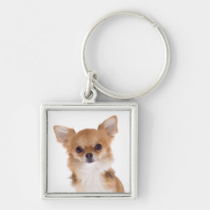 Liefde Chihuahua Puppysleutelhanger Sleutelhanger