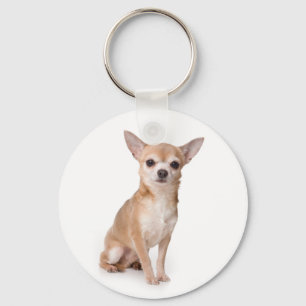 Liefde Chihuahua Puppytje Hond Sleutelhanger