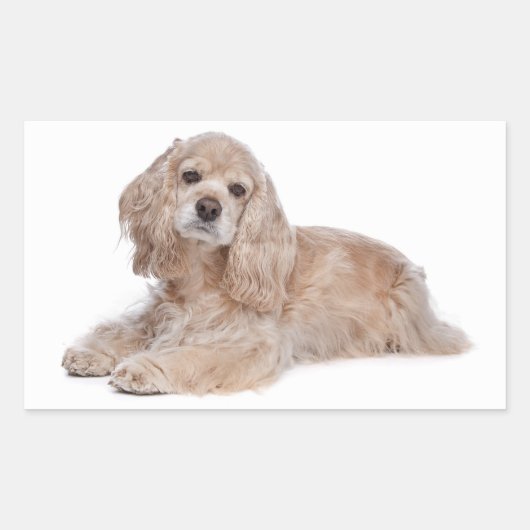 Liefde Cocker Spaniel Puppy Hond Stickers (Voorkant)