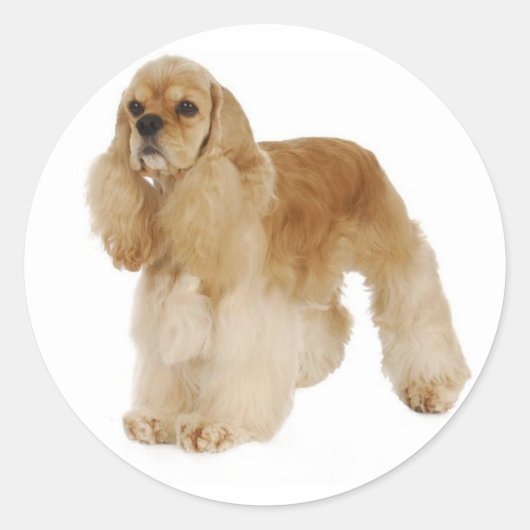 Liefde Cocker Spaniel Puppy Hond Stickers (Voorkant)