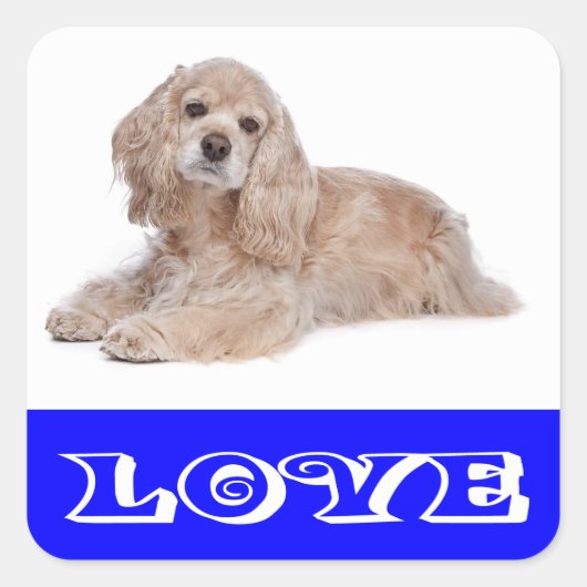 Liefde Cocker Spaniel Puppy Hond Stickers (Voorkant)