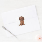 Liefde Dachshund Puppy Dog Sticker / zeehond (Envelop)