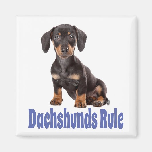 Liefde Dachshund Puppy Hond Koelkast Magneet (Voorkant)