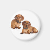 Liefde Dachshund Puppy Hond Koelkast Magneet (Voorkant)
