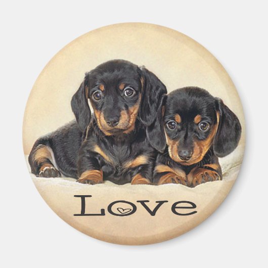 Liefde Dachshund Puppy Hond Koelkast Magneet (Voorkant)