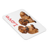 Liefde Dachshund Puppy Hond Koelkast Magneet (Rechterzijde)