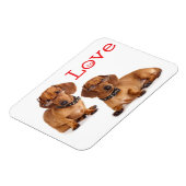 Liefde Dachshund Puppy Hond Koelkast Magneet (Linkerzijde)
