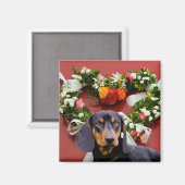 Liefde Dachsund magneet (Voorkant / Achterkant)