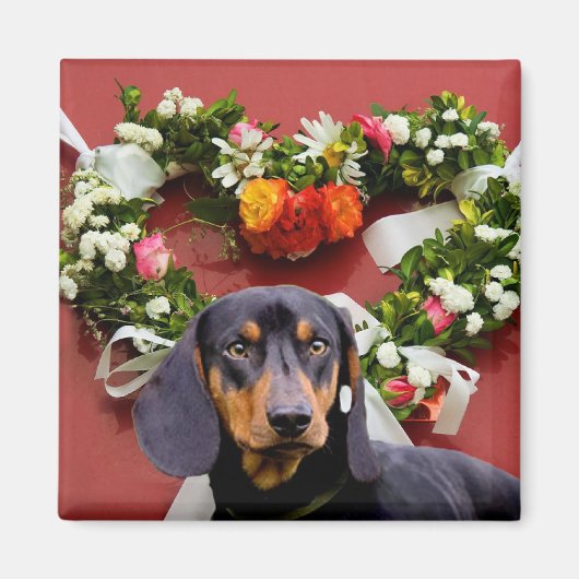 Liefde Dachsund magneet (Voorkant)