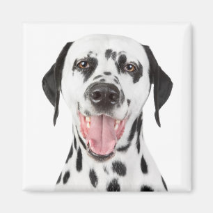 Liefde Dalmatische Puppieshond Koelkastmagneet Magneet