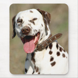 Liefde Dalmatische Puppy Hond Muismat