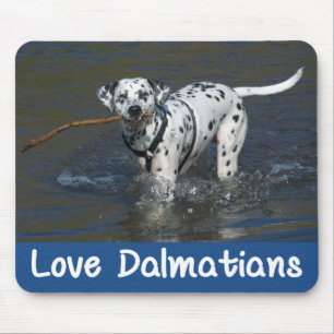 Liefde Dalmatische Puppy Hond Muismat