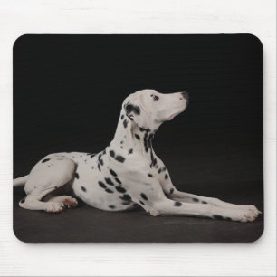 Liefde Dalmatische Puppy Hond Zwarte Muismat