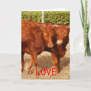 Liefde delen feestdagen kaart