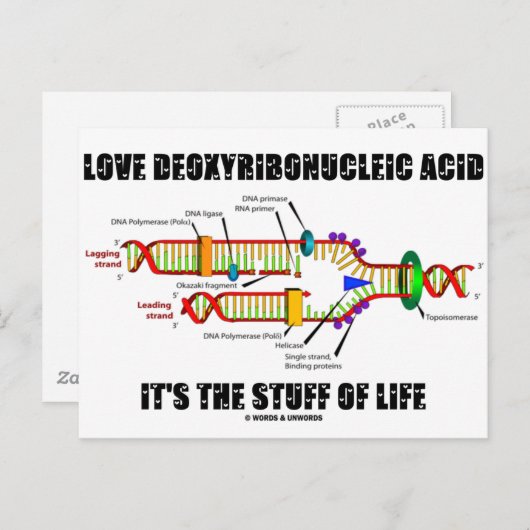 Liefde desoxyribonucleïnezuur Het is het leven. Briefkaart (Voorkant / Achterkant)