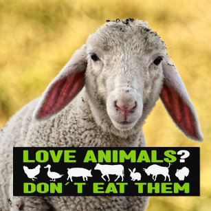 Liefde dieren? Eet ze niet op, Vegan Activism Bumpersticker