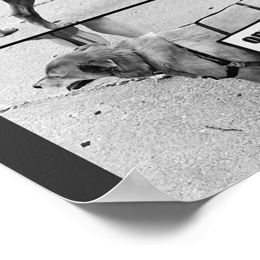 Liefde dieren poster (Hoek)