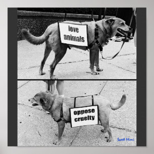 Liefde dieren poster