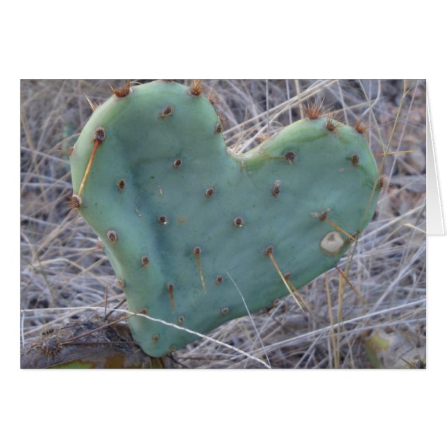 Liefde doet pijn (Voorkant Horizontaal)