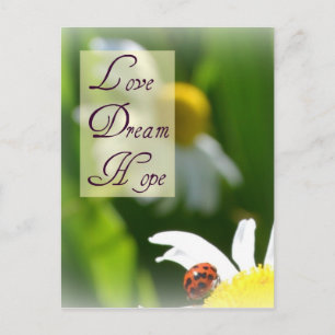 Liefde, Droom, Hoop lieveheersbeestje Post Kaart