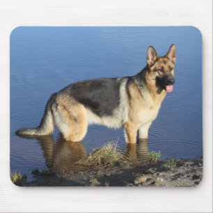 Liefde Duitse Herdershond Puppies Portret Muismat