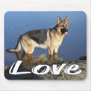 Liefde Duitse Herdershond Puppy Hond Portret Muism Muismat