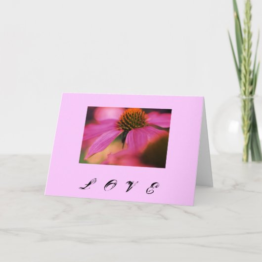 "Liefde Echinacea" Feestdagen Kaart (Voorkant)