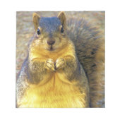 Liefde eekhoorn_ notitieblok (Voorkant)