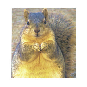 Liefde eekhoorn_ notitieblok